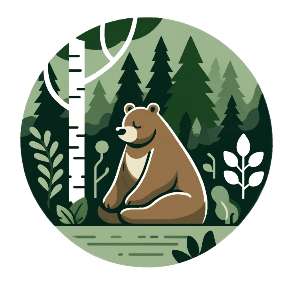 Чай из чаги